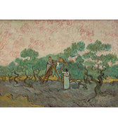 Vincent van Gogh - Women Picking Olives - Peintio