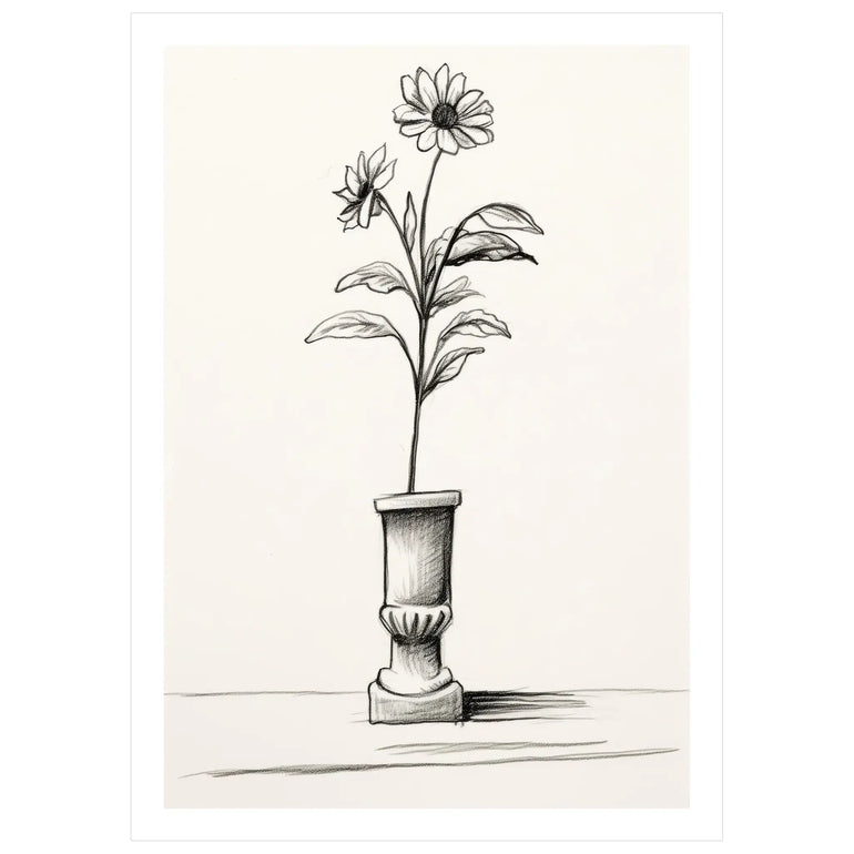 Elevated Bloom