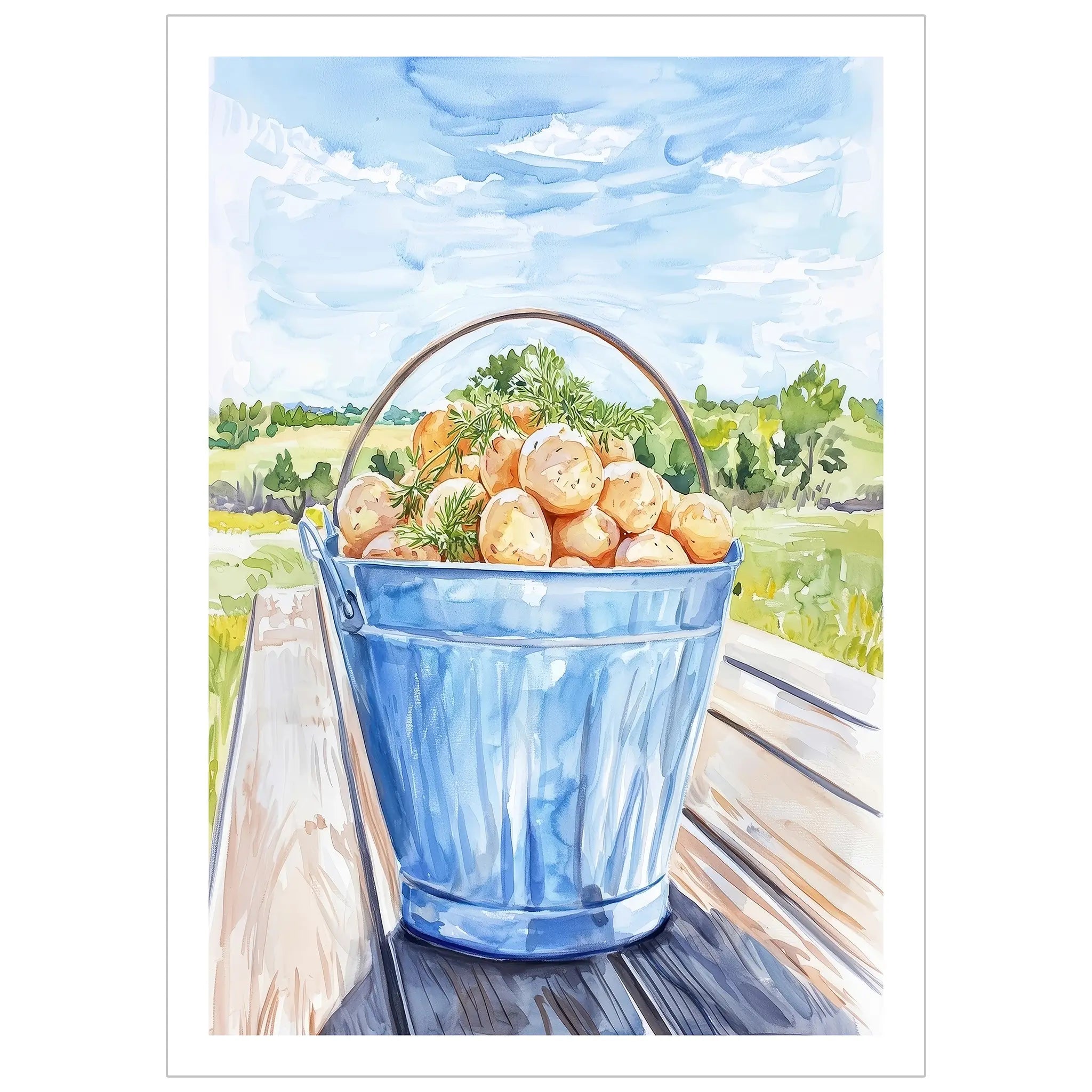Nypotatis