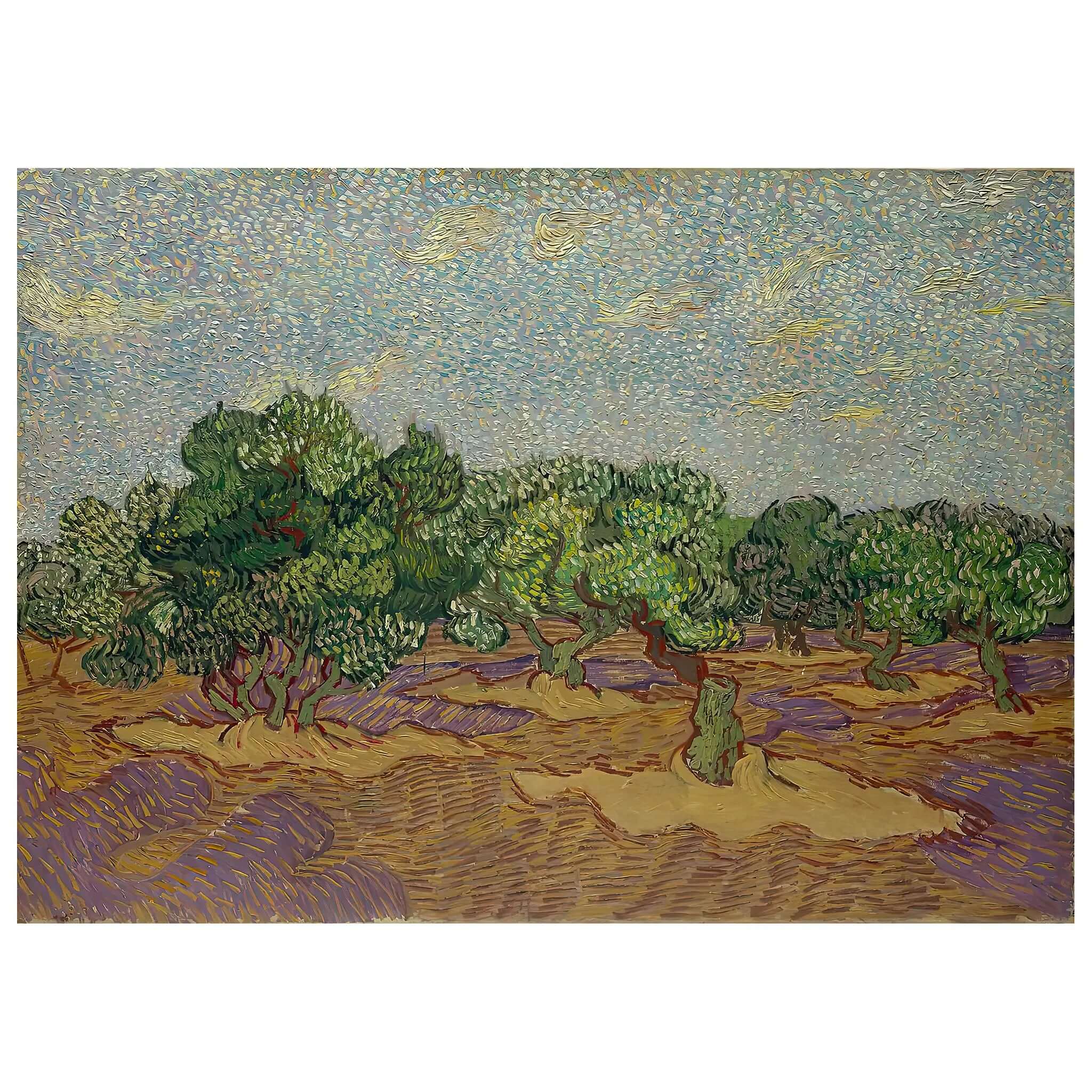 Vincent van Gogh - The Olive Trees