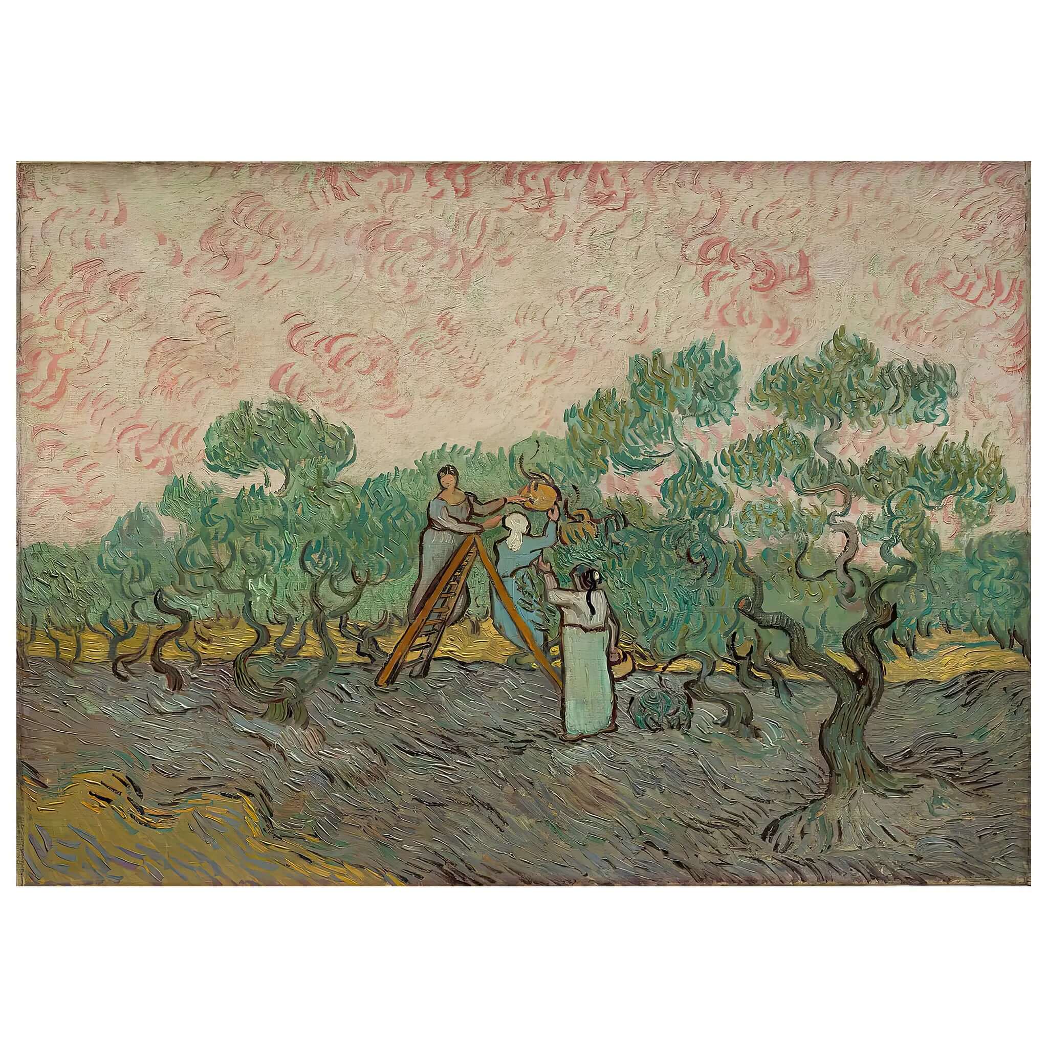 Vincent van Gogh - Women Picking Olives