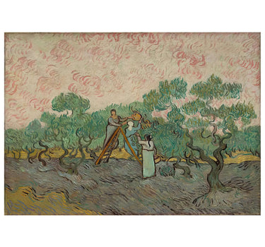 Vincent van Gogh - Women Picking Olives - Peintio