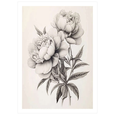 Vintage Peony Serenade